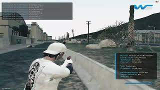 GEORGY FIVEM HIGHLIGHTS #24 (Wise Evolution)