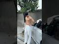 Boys | BL video | Asian Men | #body #boy #boyfriend #gay #bl #tiktok #trending #asian #shorts #fyp