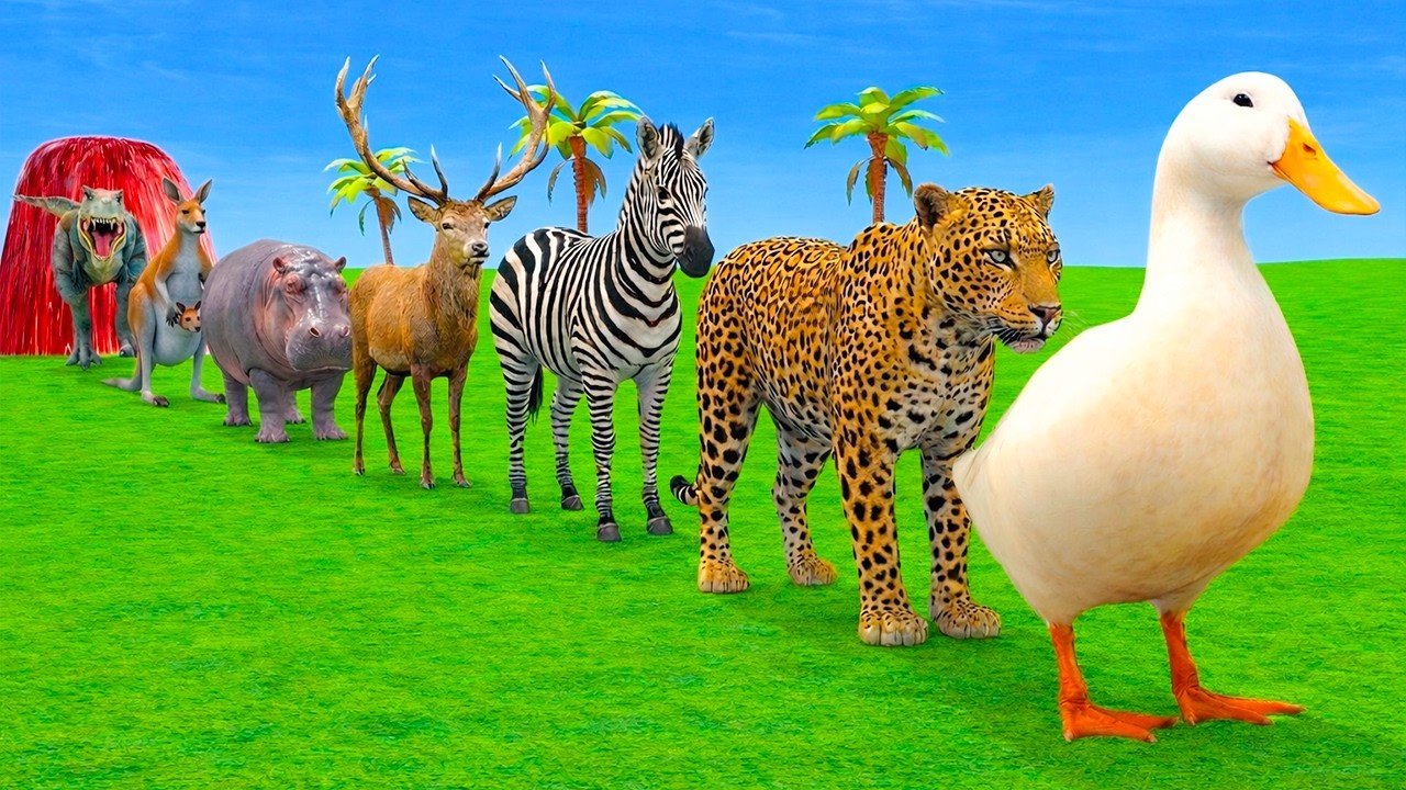 Long Slide Game With Cow Elephant Gorilla Hippopotamus Tiger 3d Animal Game Funny 3d Animals