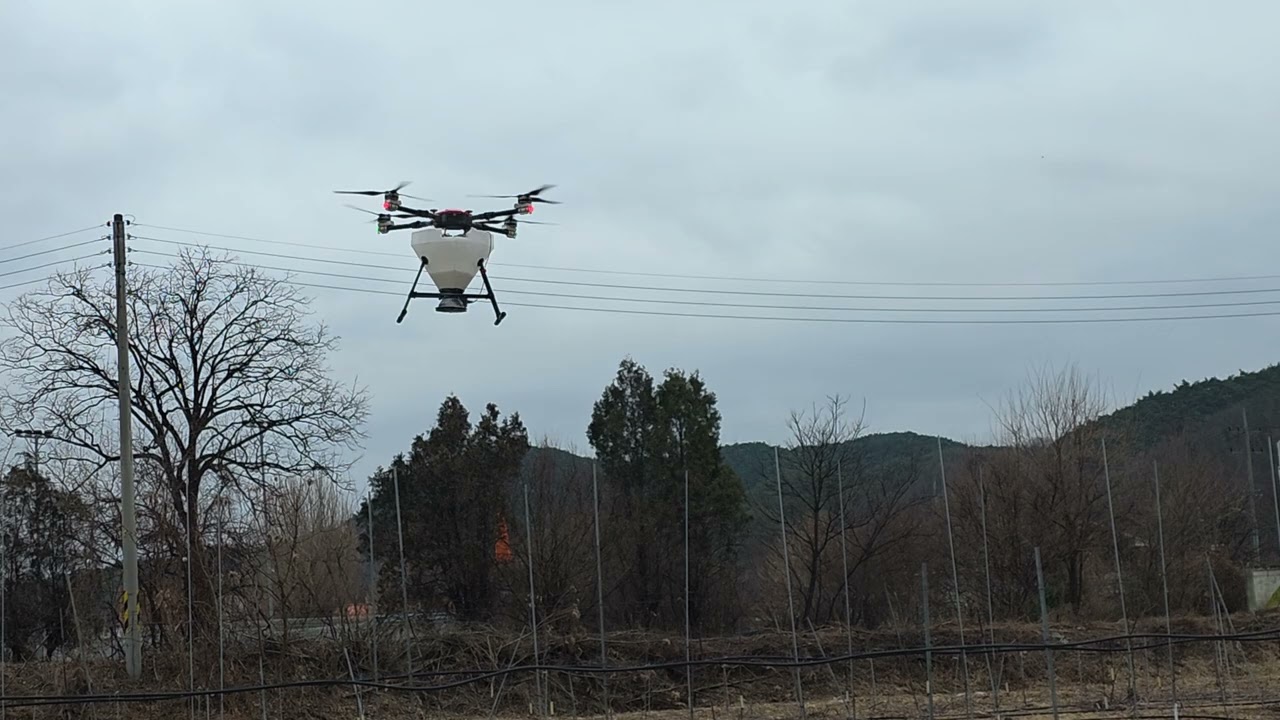 2026.3.1. 사곡 마늘밭 요소 주기.