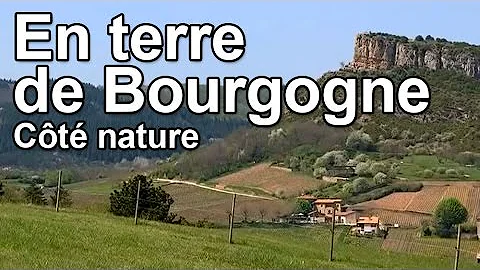 En terre de Bourgogne - Ct Nature