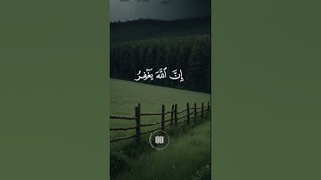 ماهر المعيقلي - سورة الزمر - تلاوة خاشعة