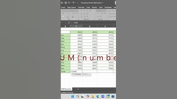 How to use SUM function in Excel?#excel #SUM #function #excel #excelshortcuts #exceltips  #office365