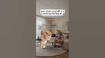 When your BF is a walking red flag. #cat #funny #youtubeshorts #trendingshorts #shorts #trending