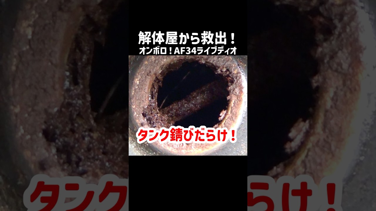 初期型7馬力＆ZXマフラー！神引きしたライブディオがガソリン腐ってて