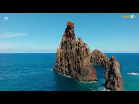 قارئ الشيخ توفيق الحبشي السعودية اردن امارات السعودية قطر 