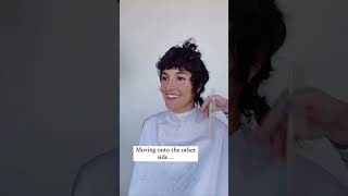 Pixie Cut: Carving and Revamping