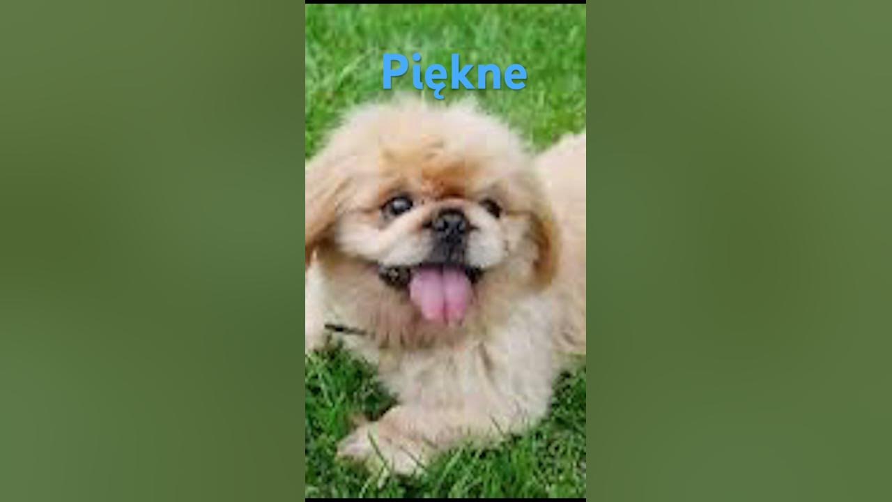 Hej miśki czas wstać