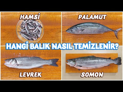 Hangi Balık Nasıl Açılır, Nasıl Ayıklanır? | Ustasından Öğren