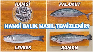 Hangi Balık Nasıl Açılır, Nasıl Ayıklanır? | Ustasından Öğren