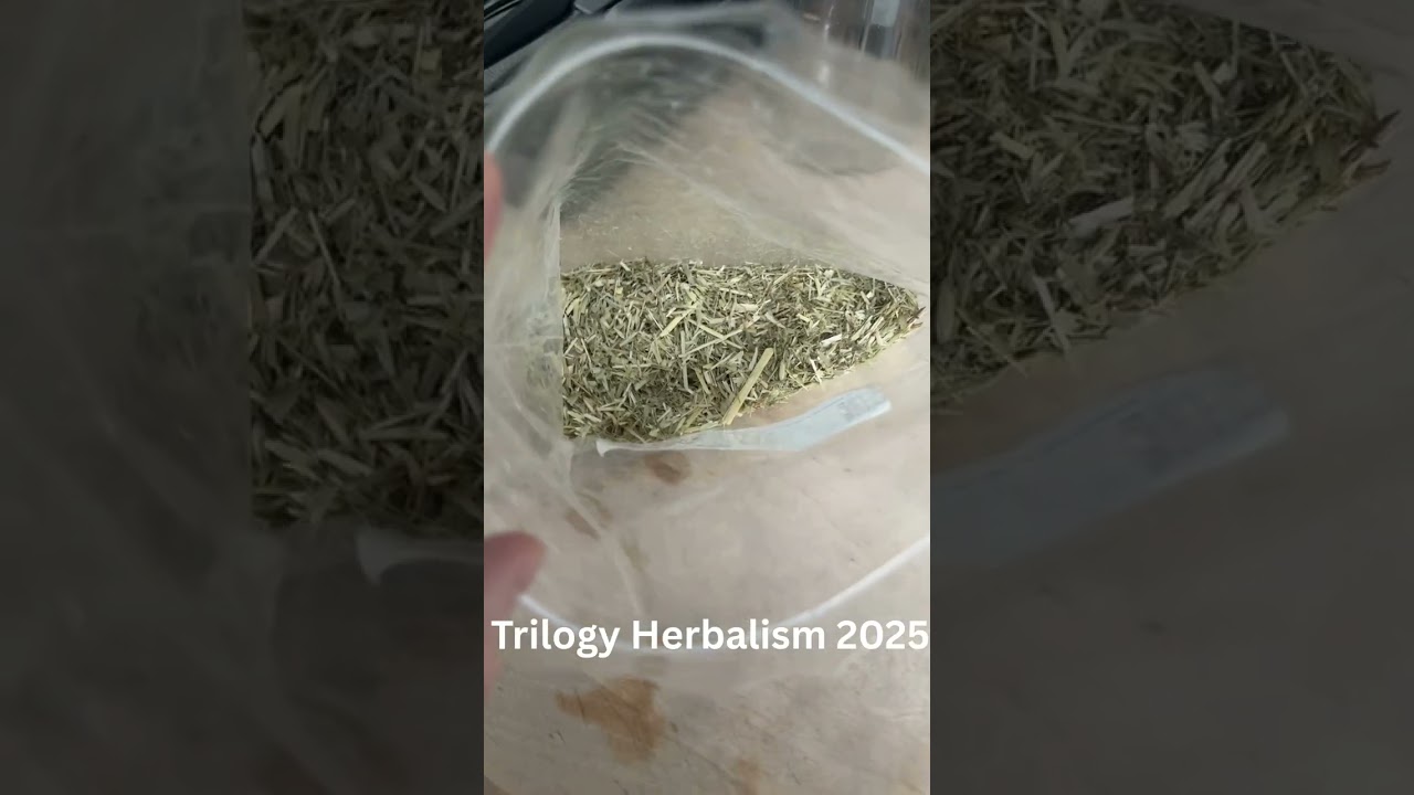 Red Clover Tea Blend