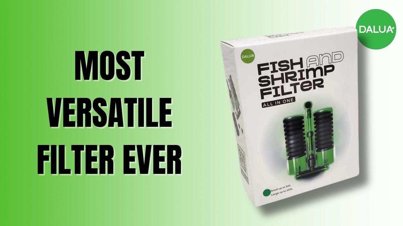 Dalua Shrimp Filter Instructions