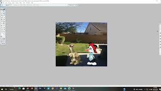 Wakko grounds Sid the Sloth 2009 and gets ungrounded