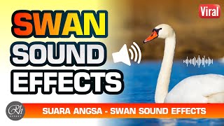 Swan Sound Effects for edits - suara angsa