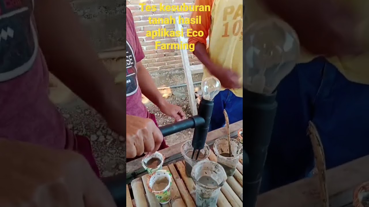 2 Tahun Aplikasi Pupuk Eco Farming, Hasilnya??? 