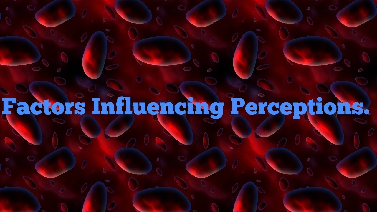 Factors Influencing Perceptions. - YouTube