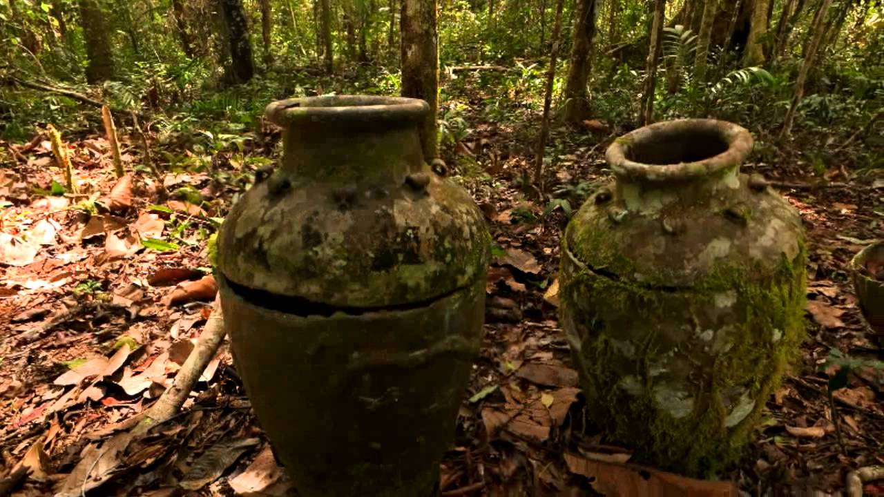 Cultured Rainforest Ancestors by Z360 Master