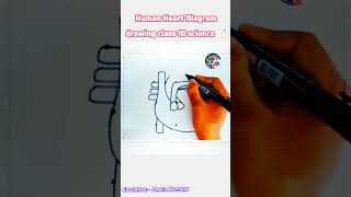 Structure of the Human Heart | Simple Diagram Easy Explanation | Biology Lesson #viral #heart