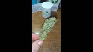 🦈🔥⚡Shark Shock & Canna Tsu from Five Leaf Wellness⚡🔥🦈