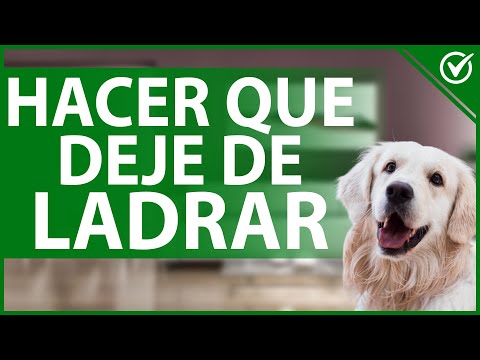 Video: Cómo conseguir que el perro de un vecino deje de ladrar