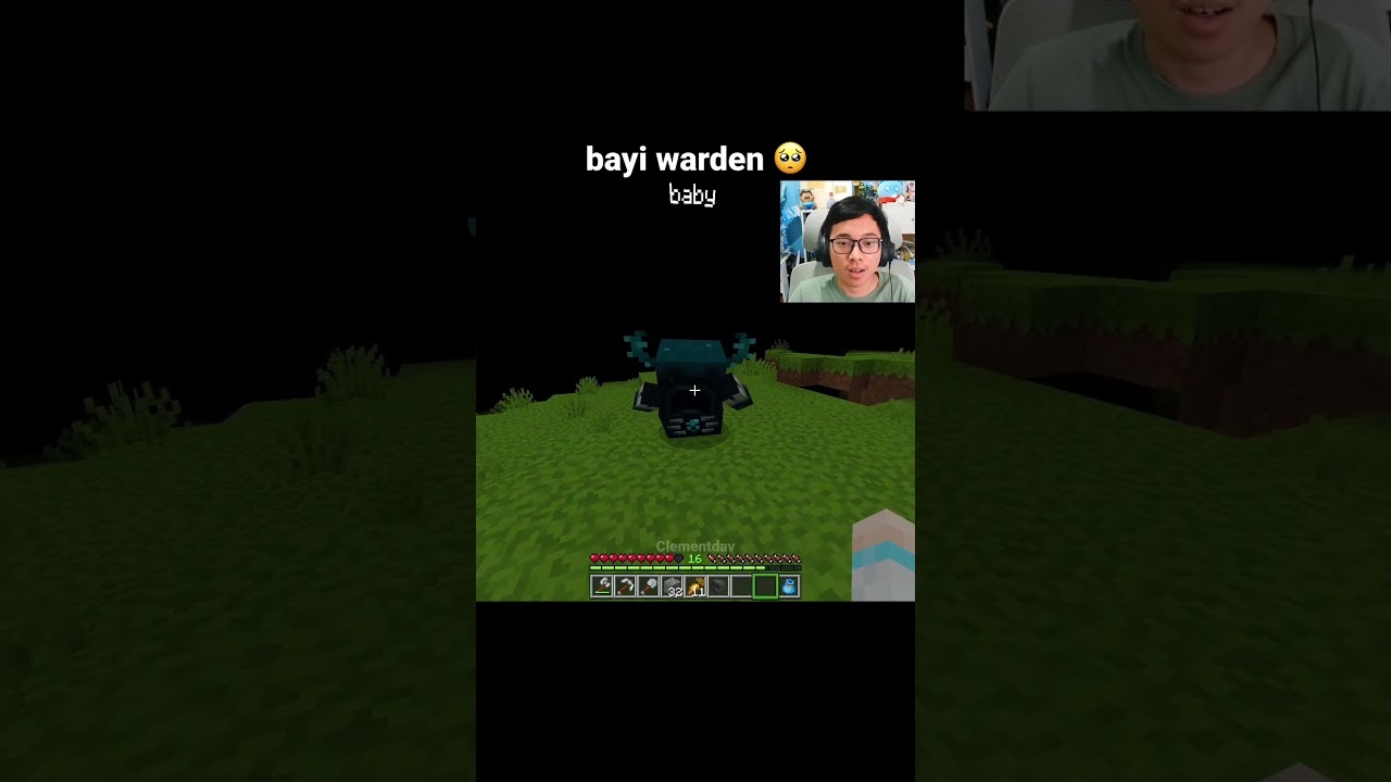 Momen Bayi Warden Minecraft