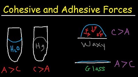 Cohesive and Adhesive Forces of Water