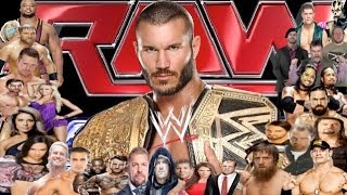 WWE The Year of 2013