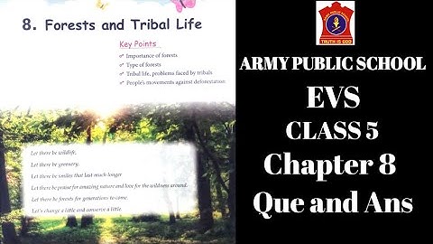 APS class 5 EVS chapter 8 | FOREST AND TRIBAL | EXERCISE | APS class 5 EVS book |@nksclasses