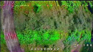 Runcam Phoenix 2 with Rajawali Bouraq 5inch