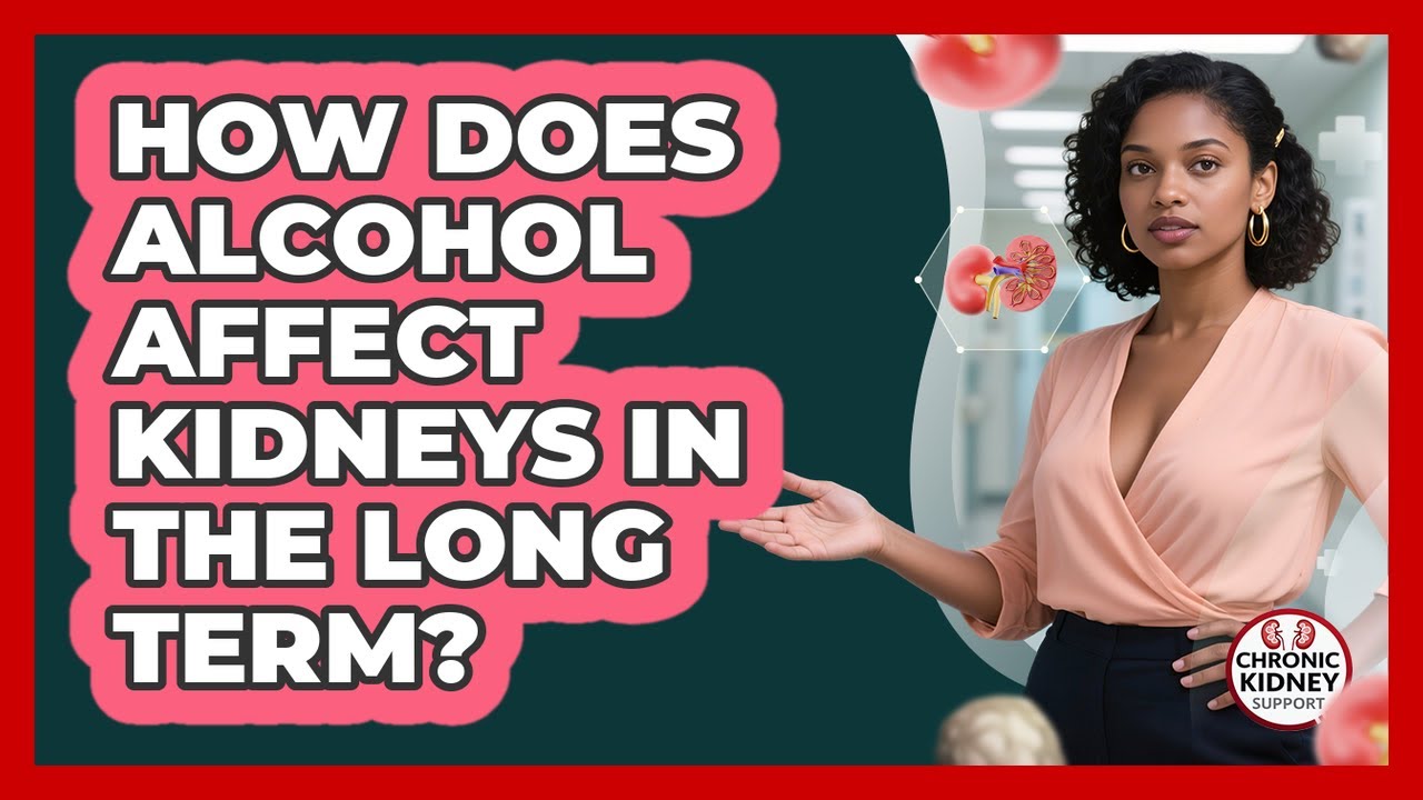 How Does Alcohol Affect Kidneys In The Long Term? - Chronic Kidney Support