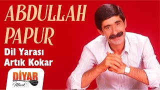 Abdullah Papur - İnsanlar Hepsi Bir