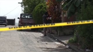 Sentencias por violencia de género