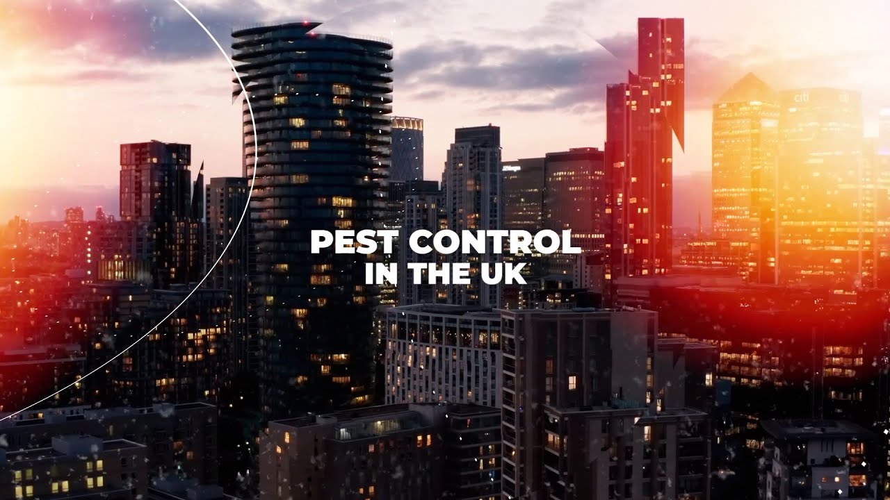 Pest Control in the UK