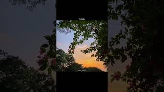 Abhi Main Na Dekhu Khwaab Woh aesthetic S Status shorts viral trending