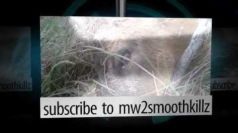 another intro uploaded from FliXpress.com