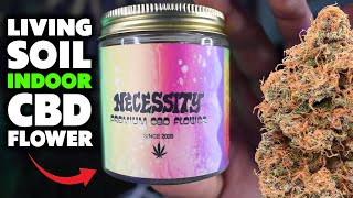 Indoor Rainbow Sherbet and Yak Butter from Necessity CBD