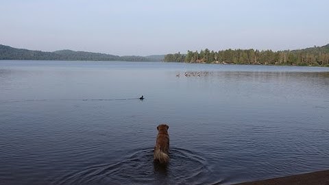 왕초보를 위한 JavaScript 강좌 2 객체 (Object) 만들기와 .this 키워드