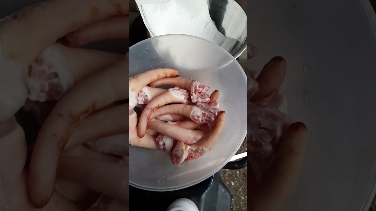 codițe de purcel la ceaun !🐷