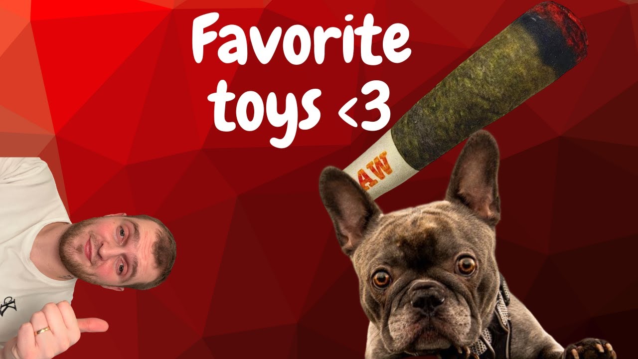 My Dogs Favorite Toys