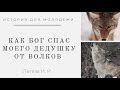 Интересная история для молодежи | Как Бог спас моего дедушку от волков, Легеза И. И.