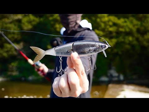 不可能を可能にしたルアーの泳ぎを確認】革命ルアーGIMIKIN