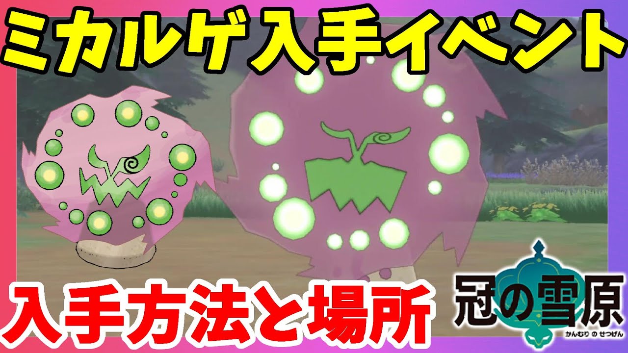 ミカルゲの動画 画像 動画検索 マイルドサイト