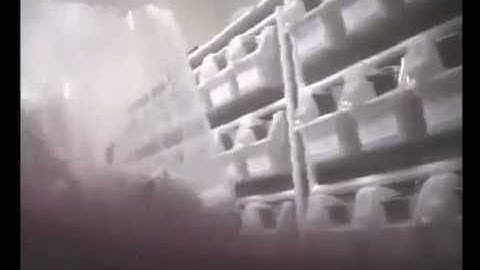 BOTOX Testing on Animals (BUAV - Investigation)