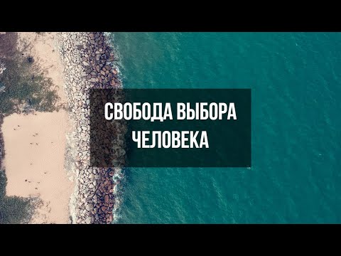 Свобода выбора Человека | Если Бог уже знает моё будущее, свободен ли я в настоящем | Проповедь