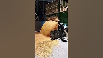 Corn grain unloading process