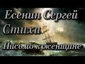 Стихи Сергей Есенин «Письмо к женщине» («Вы помните...») Читает Городинец Сергей #Живой_Есенин