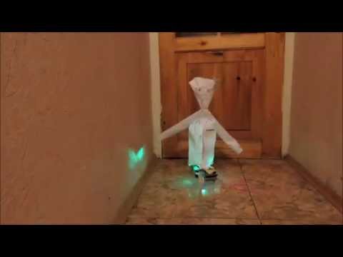 რობოტი ქართლოსა