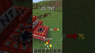 MINECRAFT 25 TNT EXPLOSION TEST! 💥😳