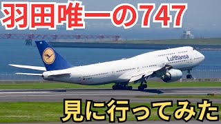 2. ジャンボジェットを見に行きながらいろんな飛行機を観察してみた！