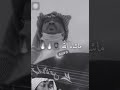 اسمع صوت العود 